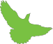Green Bird Media